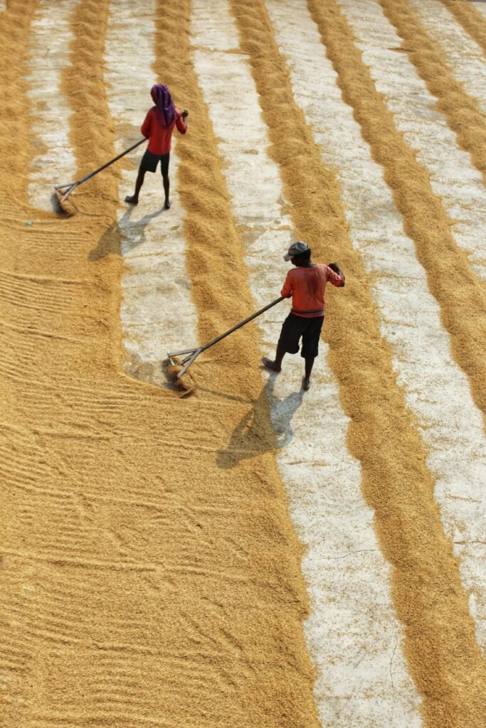 pexels dibakar roy 2432543 5648206